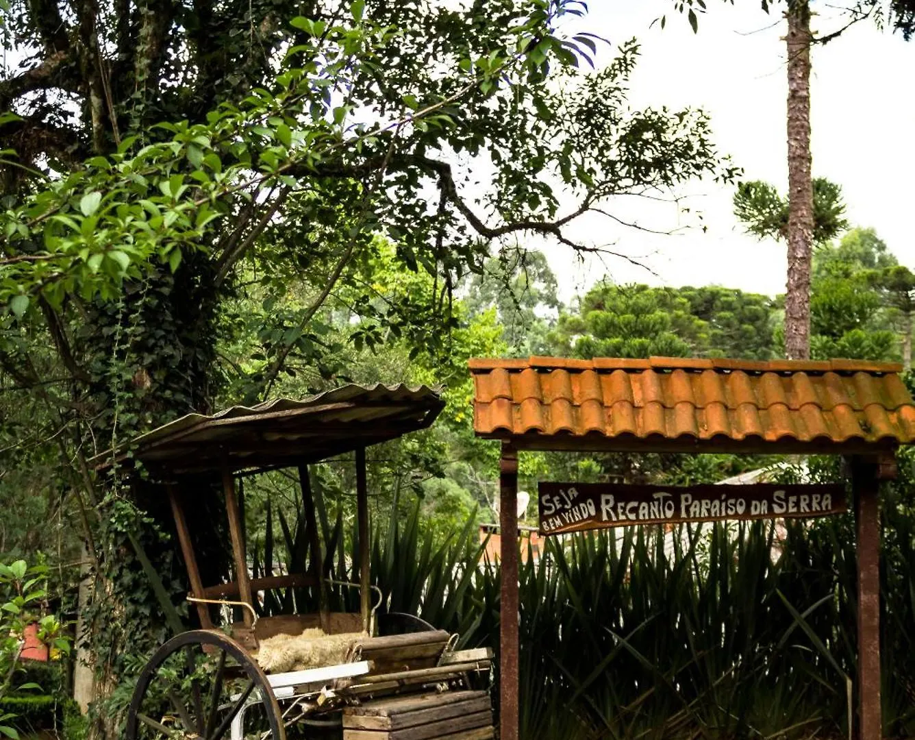 Hotel Meu Paraiso Campo Alegre